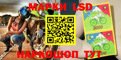 прущие грибы Бийск