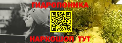 гидра Беслан