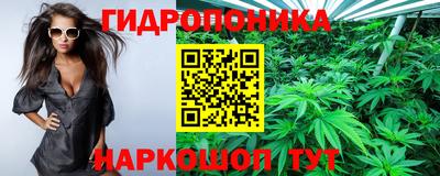 PSILOCYBIN Гусиноозёрск