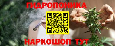 PSILOCYBIN Гусиноозёрск
