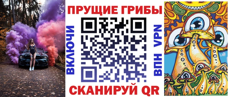 хочу наркоту  hydra   Псилоцибиновые грибы Magic Shrooms  Павлово 