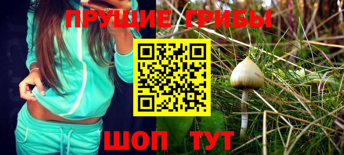 купить   Галлюциногенные грибы Psilocybine cubensis  Вход с VPN  Павлово 